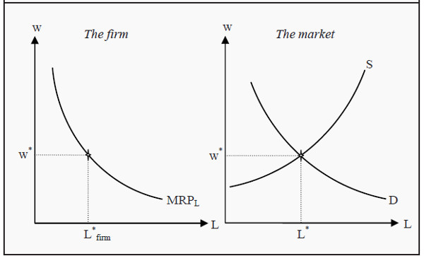 The Firm’s Demand for Labor and the Market Equilibrium